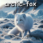 arctic fox