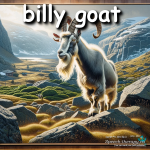 billy-goat