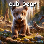 cub-bear