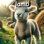 lamb