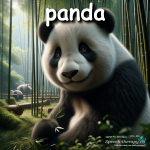 panda