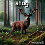 stag