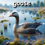 goose