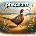 pheasant