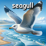 seagull