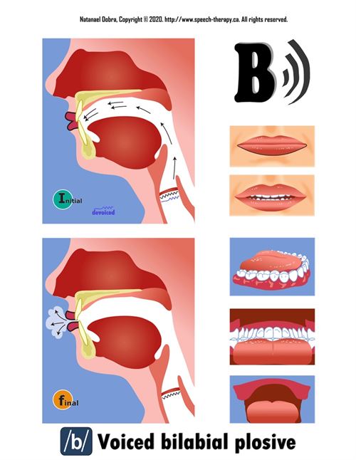 B Voiced Bilabial Plosive